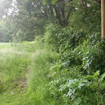 Andy's Bark Park - The back entrance! - Dog Parks Near Me - Woodbury, Minnesota