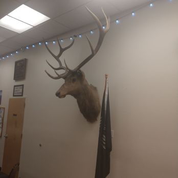 Concord Elks Lodge 1994 - An Elk head. - Community Service/Non-Profit Near Me - Concord, California Concord Elks Lodge 1994 - An Elk head. - Community Service/Non-Profit Near Me - Concord, California