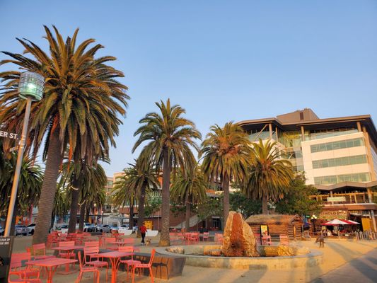 Jack London's Cabin by null