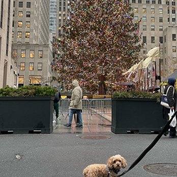 Rockefeller Center - Shopping Centers Near Me - New York, New York Rockefeller Center - Shopping Centers Near Me - New York, New York