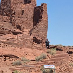 1AZ Select Transportation & Tours
