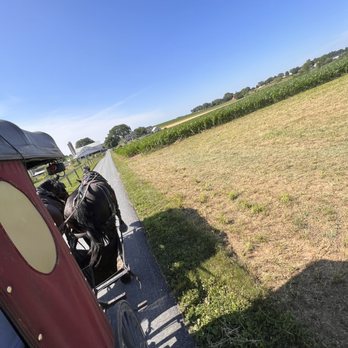 Aaron & Jessica's Buggy Rides - Tours Near Me - Bird in Hand, Pennsylvania Aaron & Jessica's Buggy Rides - Tours Near Me - Bird in Hand, Pennsylvania
