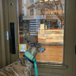 The Principled Pet - Wistfully Luca waits for the principled Pet to open