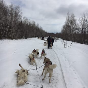 Expedition Mi-Loup - Sledding Near Me - Saint-Jean-d'Orleans, Quebec Expedition Mi-Loup - Sledding Near Me - Saint-Jean-d'Orleans, Quebec