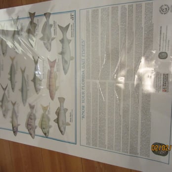 Office Max - One of the 6 posters officemax destroyed with their lamination machine - Office Equipment Near Me - Las Vegas, Nevada Office Max - One of the 6 posters officemax destroyed with their lamination machine - Office Equipment Near Me - Las Vegas, Nevada
