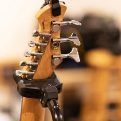 Bellinghome School of Music - Instruments available for rent and rent-to-own.