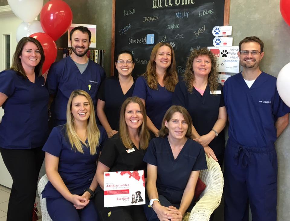 The Animal Clinic Image