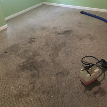 Easy Clean Carpet - This is the before picture of the carpet that I thought was going to need to be replaced. - Carpet Cleaning Near Me - Citrus Heights, California Easy Clean Carpet - This is the before picture of the carpet that I thought was going to need to be replaced. - Carpet Cleaning Near Me - Citrus Heights, California