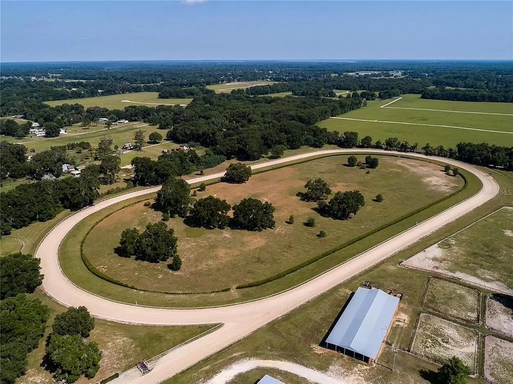 Citra Oaks Farm Florida Roadtrippers - O 