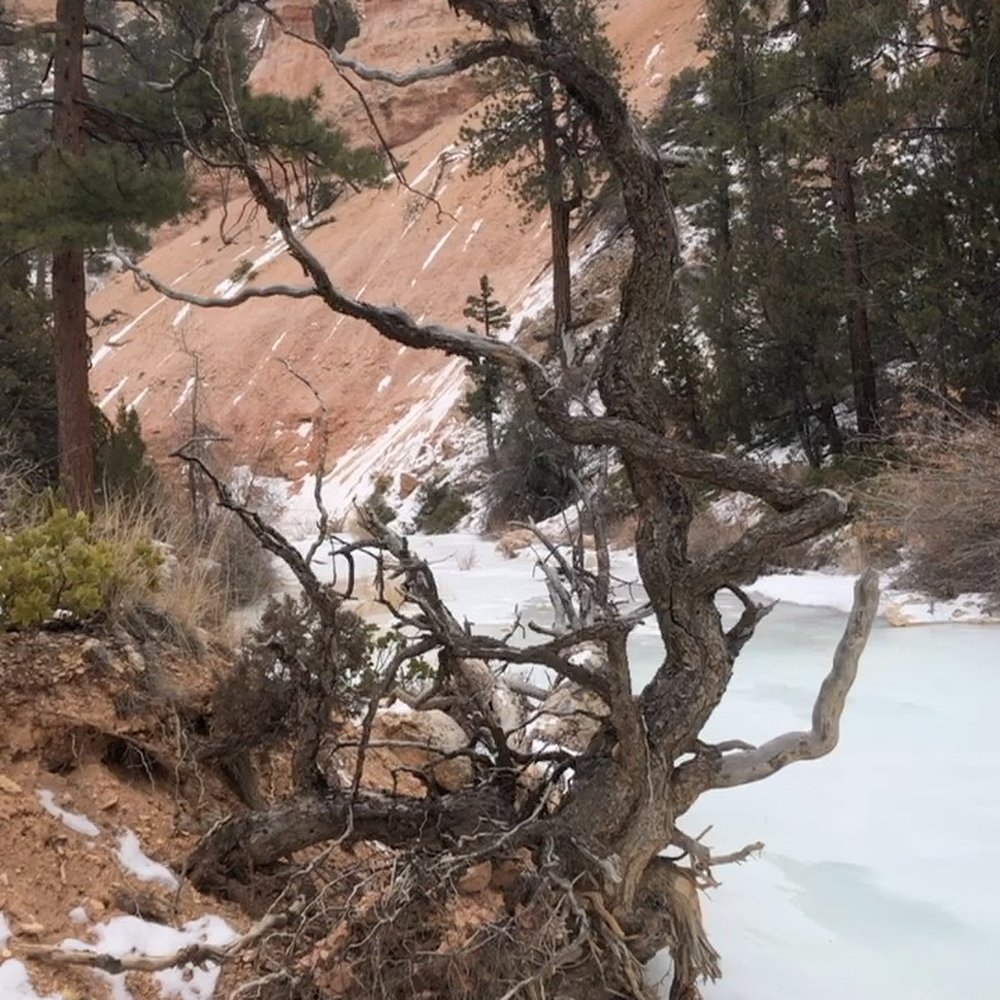 Fairyland Loop Trail - Hiking Near Me - Bryce Canyon, Utah