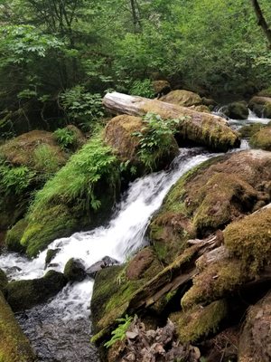 Watson Falls by null
