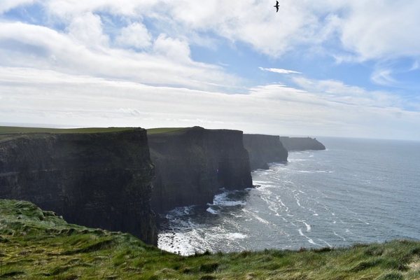 Railtours Ireland First Class! by null