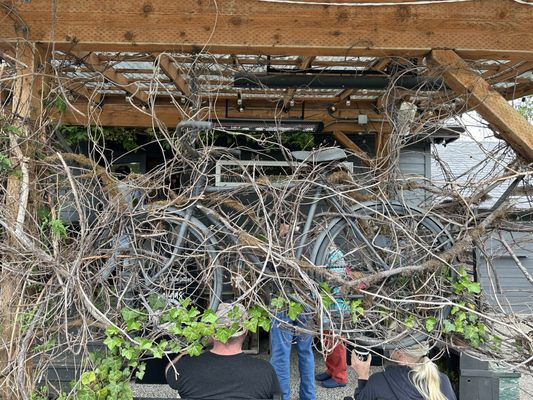 Wanda's Cafe + Bakery by null