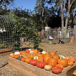 John Givens Farm