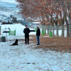 Stardog Champion K-9 - Chay (to the left) training another new and happy customer's dog today ~