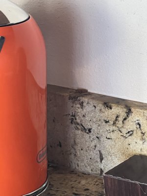 Noelani Condominium Rental Association by null