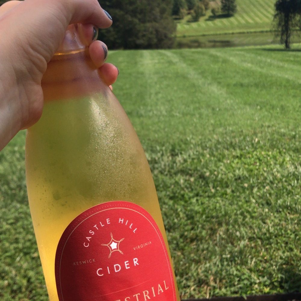 Terrestrial cider (one of the drier ones!) Terrestrial cider (one of the drier ones!)