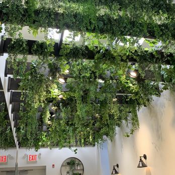 Gregorys Coffee - Greenery. - Coffee & Tea Near Me - Melville, New York