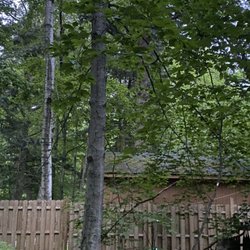 Keus Tree Service and Landscaping
