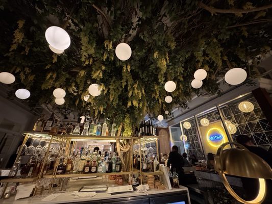 Motek Coral Gables by null