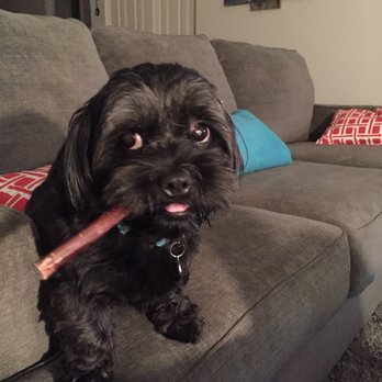 The Natural Pet - Pet Groomers Near Me The Natural Pet - Pet Groomers Near Me