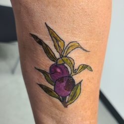 Clear Vision Tattoo - Greek olive branch