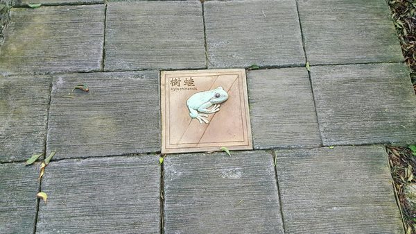 Kenting National Forest Recreation Area by null