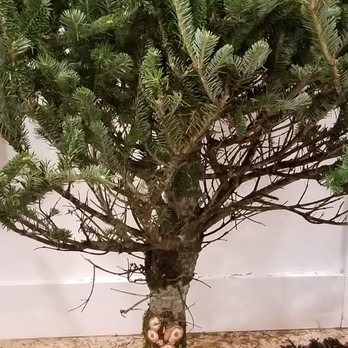 Seasons - Nurseries & Gardening Near Me - Brooklyn, New York