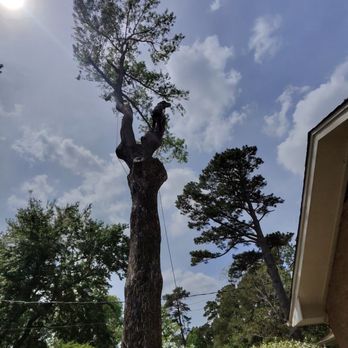Cris Tree Service - Tree Services Near Me Cris Tree Service - Tree Services Near Me