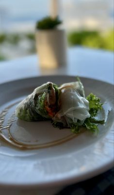 Beloved Playa Mujeres by null