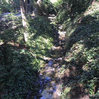 Live Oak Park - "Saturday in the park, I think it was the Fourth of July..." - Parks Near Me - Berkeley, California
