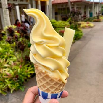 Malama Tours - The legendary pineapple treat at Dole Plantation. A sweet stop on our Multi-Island Tour experience. Malama the 'Aina and enjoy the ride! - Tours Near Me - Honolulu, Hawaii