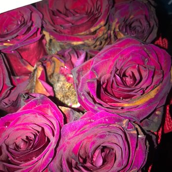 Treasured Petals LA - Can't believe this - Floral Designers Near Me - North Hollywood, California Treasured Petals LA - Can't believe this - Floral Designers Near Me - North Hollywood, California