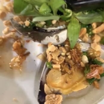 Viet Kitchen - Clams - Vietnamese Near Me - Tampa, Florida Viet Kitchen - Clams - Vietnamese Near Me - Tampa, Florida