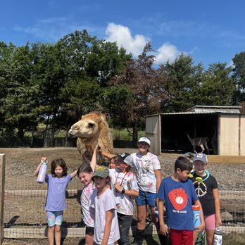 Cathy's Critters - Petting Zoos Near Me - Princeton, Texas Cathy's Critters - Petting Zoos Near Me - Princeton, Texas
