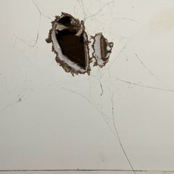 All American Home Rental Management - rodent walk way to kitchen