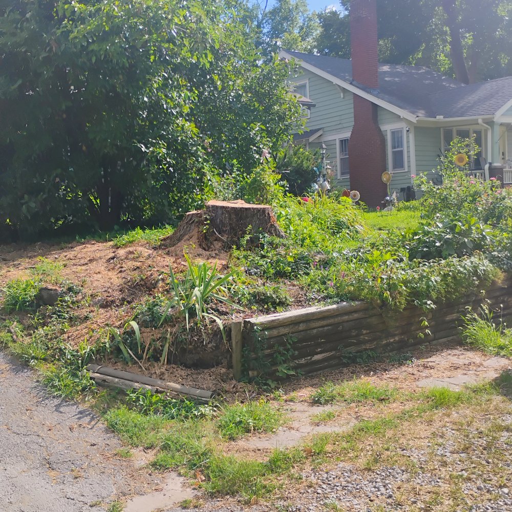 Affordable Moore's Tree Services - This is what another company had to finish and now my yard looks like it's supposed to turn in the stump into put pots of flowers on it - Tree Services Near Me