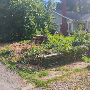 Affordable Moore's Tree Services - This is what another company had to finish and now my yard looks like it's supposed to turn in the stump into put pots of flowers on it - Tree Services Near Me Affordable Moore's Tree Services - This is what another company had to finish and now my yard looks like it's supposed to turn in the stump into put pots of flowers on it - Tree Services Near Me