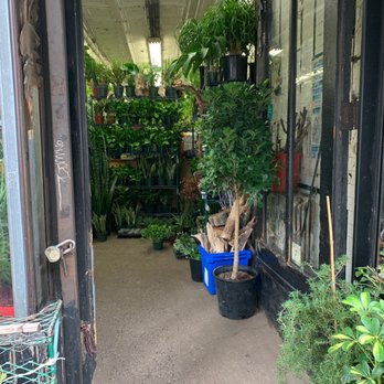 International Garden Inc - Florists Near Me - New York, New York International Garden Inc - Florists Near Me - New York, New York