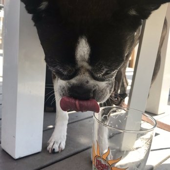 High Hops Brewery - Slurp! - Bars Near Me - Windsor, Colorado