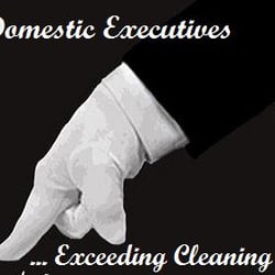 Domestic Executives - Residential, Commercial, Office, Vacation Rental, Post Construction Cleaning Service.