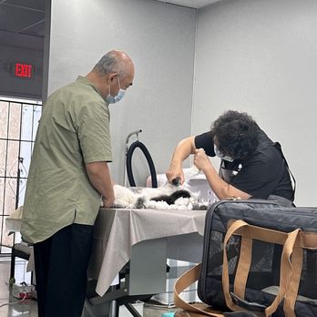 Happy Cat Grooming - Grooming - Pet Groomers Near Me - Cypress, California