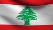 Diwan Lebanese cuisine by null