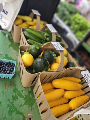 Old Beach Farmers Market by null
