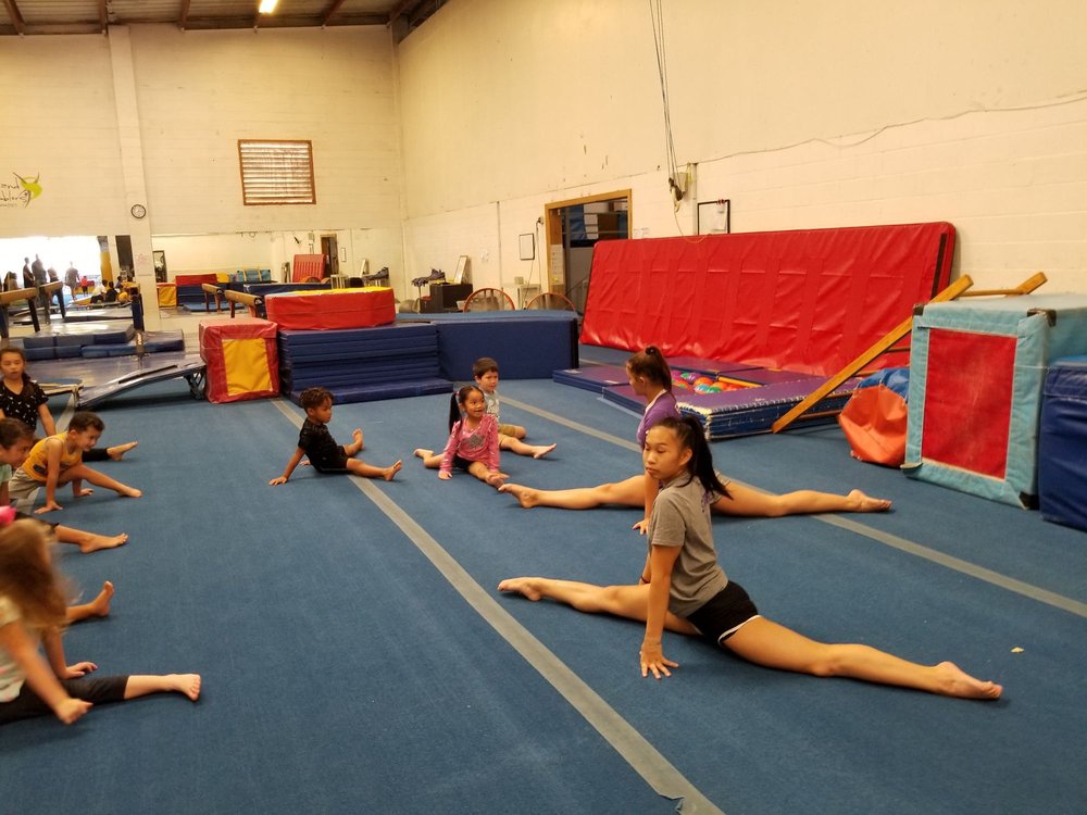 ISLAND TUMBLERS GYMNASTICS 87 Photos & 49 Reviews 94475 Ukee St