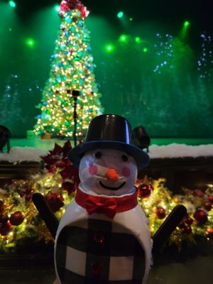 The Carolina Opry Theater by null