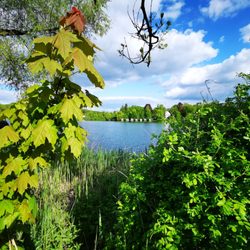 Weßlinger See
