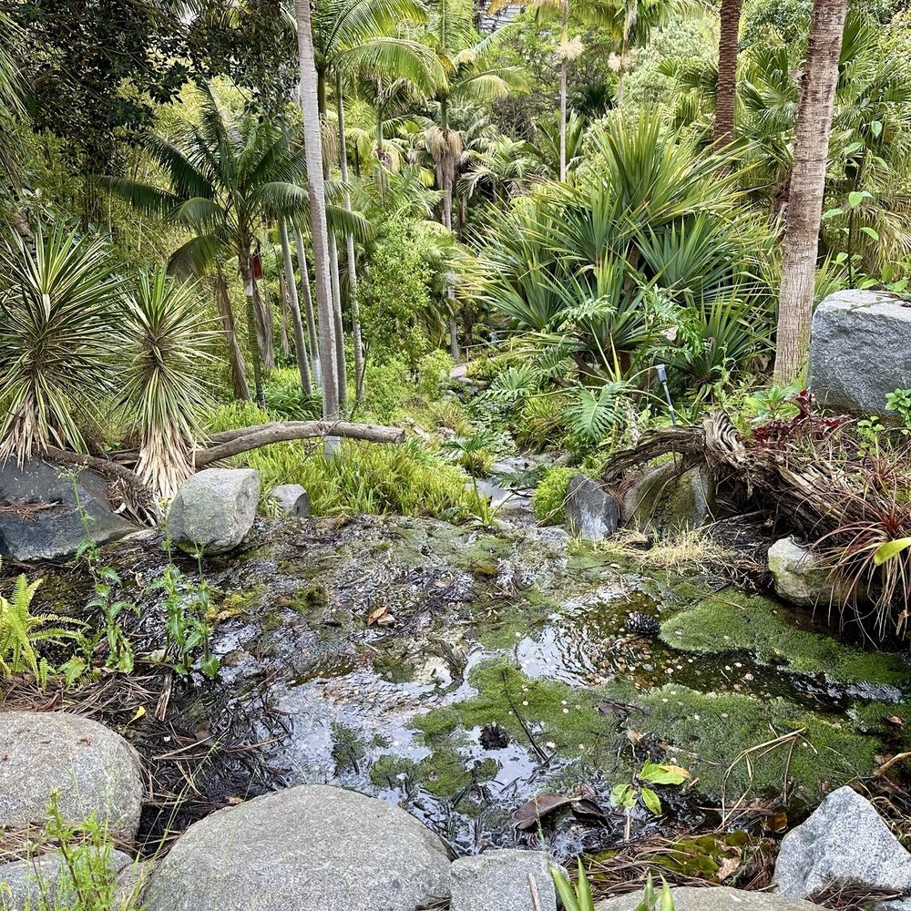 San Diego Botanic Garden - Botanical Gardens Near Me - Encinitas, California