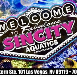 Sin City Aquatics & Maintenance