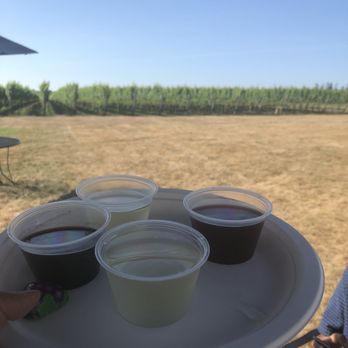 Duckwalk Vineyards - Wineries Near Me - Water Mill, New York